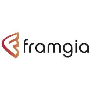 Client Framgia - Lead Generation, The Netherlands